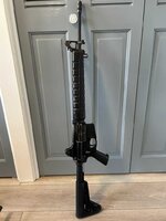 IMG_0832.jpeg