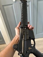 IMG_0833.jpeg