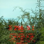 Ocab-20251019-105351-1200.jpg