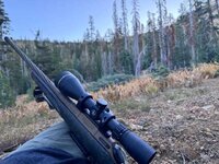 IMG_1487.jpeg
