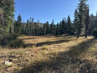 IMG_1497.jpeg