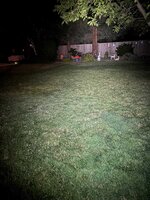 IMG_4199.jpeg