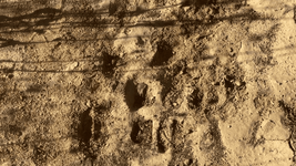 vlcsnap-2025-11-07-12h32m52s465.png
