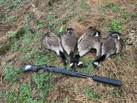 IMG_1121.jpeg