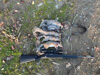 IMG_1287.jpeg