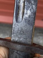 IMG_8834.jpeg