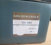 Vortex Golden Eagle 15-60x52, San Diego