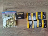 Armscor 62gr .223 + PMC M855 5.56