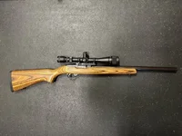 WTS Ruger 10/22 Target - Auburn