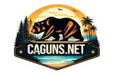 caguns_forest_beach.webp