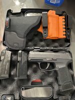 WTS-P365