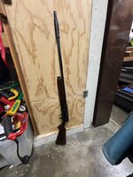 Browning A5 16 gauge (late 40's) OC
