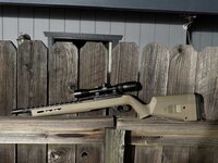 Ruger 10/22- Rosevile