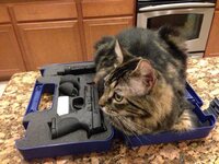 IMG_3038.jpeg