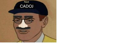 Not CADOJ.jpg Not CADOJ.jpg