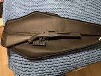 Ruger Mini-14, 585 series - Sacramento