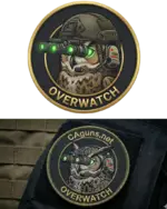 overwatch_owl.webp overwatch_owl.webp