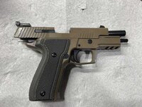 sig p226 scorpion