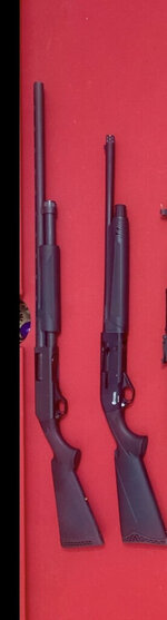 WTS PRICE DROP shotgun bundle with nickel 1911, Fresno CA