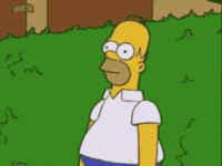 IMG_0530.gif IMG_0530.gif