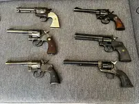 Colt Family (1).webp