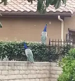 1773151899358.webp