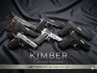 Kimber 1911 gun sale