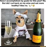 IMG_0732.jpeg