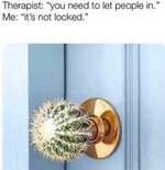 1731810807384.jpeg