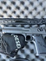 Magnum Research Desert Eagle .44 Magnum Garden Grove