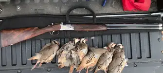 686 Chukar.webp 686 Chukar.webp