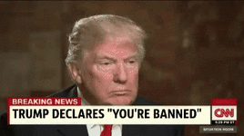 1775069738576.gif