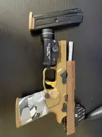 SIG Sauer M18 P320 — full 320 setup OC