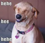 giggle.webp