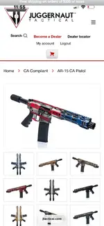 WTB juggernaut ar-pistol