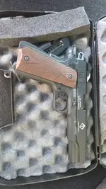 ATI 1911 22LR