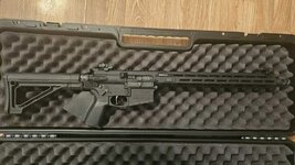 Springfield Saint Victor AR10 .308 - Bakersfield