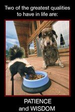 IMG_0185.jpeg