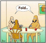IMG_0292.png