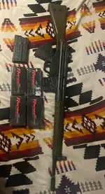 PTR-91 with 80 rounds ~ $1500 obo