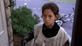 20868.gif
