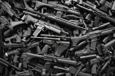 WTB: Multiple Firearms and Handguns