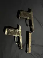 Sig sauer p 365