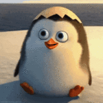 1000008982.gif