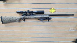 Remington 700 5R .308, Citrus Heights
