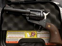Ruger Blackhawk 357 - Coachella Valley / So Cal