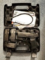 Sig Sauer P365 - San Diego