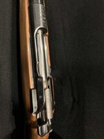 IMG_8930.jpeg
