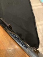 IMG_8924.jpeg