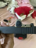IMG_5337.jpeg